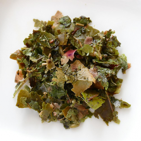 Chaise-Longue - Nature