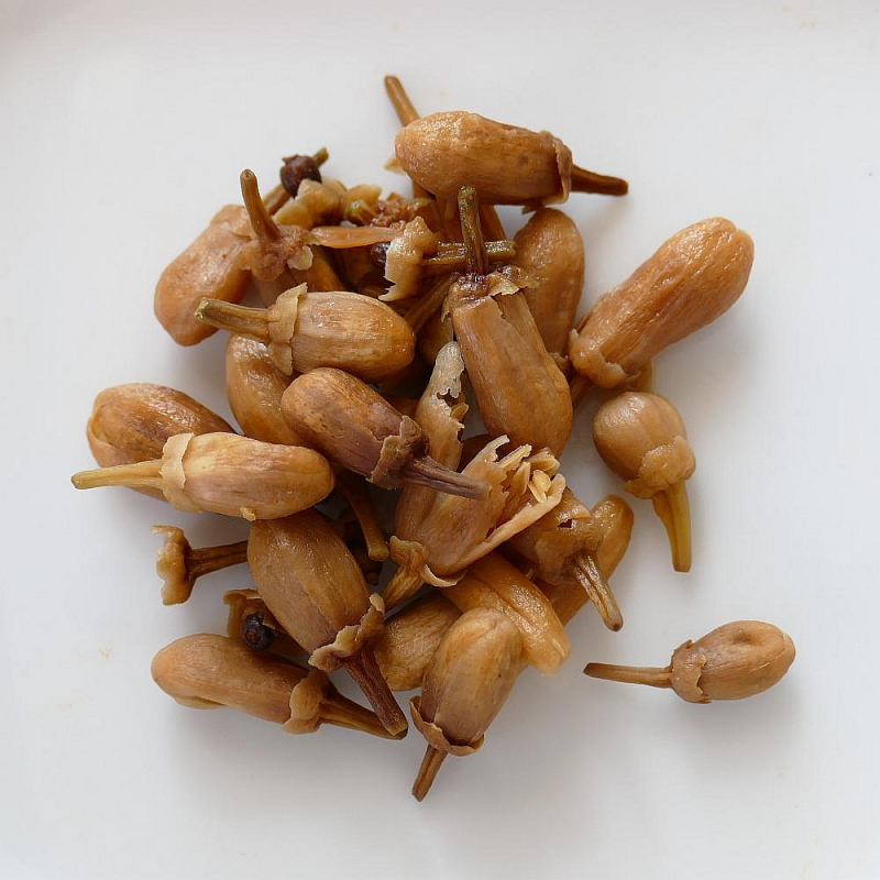 Bouton de Fleur d\'Oranger - NATURE