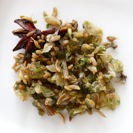 Anis en Fête, galactogène - NATURE