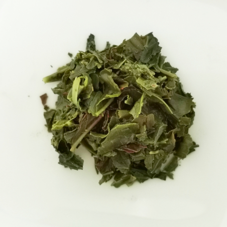 Gabalong / Gabaron, Yabukita, Shizuoka, Japon