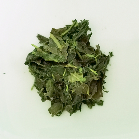 Bancha Special, Yabukita, Ureshino, Japon