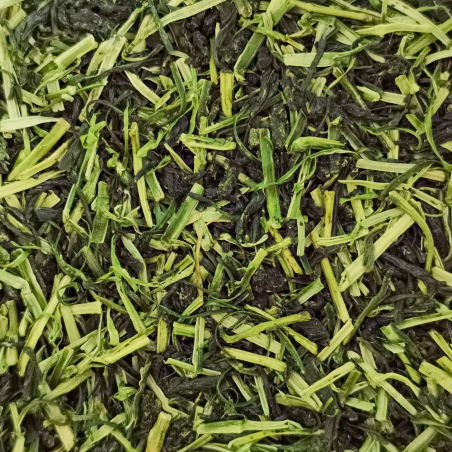 Kukicha, Yabukita, Ureshino, Japon