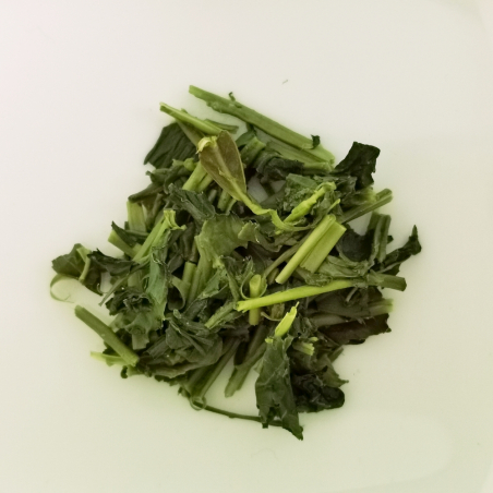 Kukicha, Yabukita, Ureshino, Japon