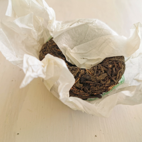 Grand Nid d\'Oiseau Vert