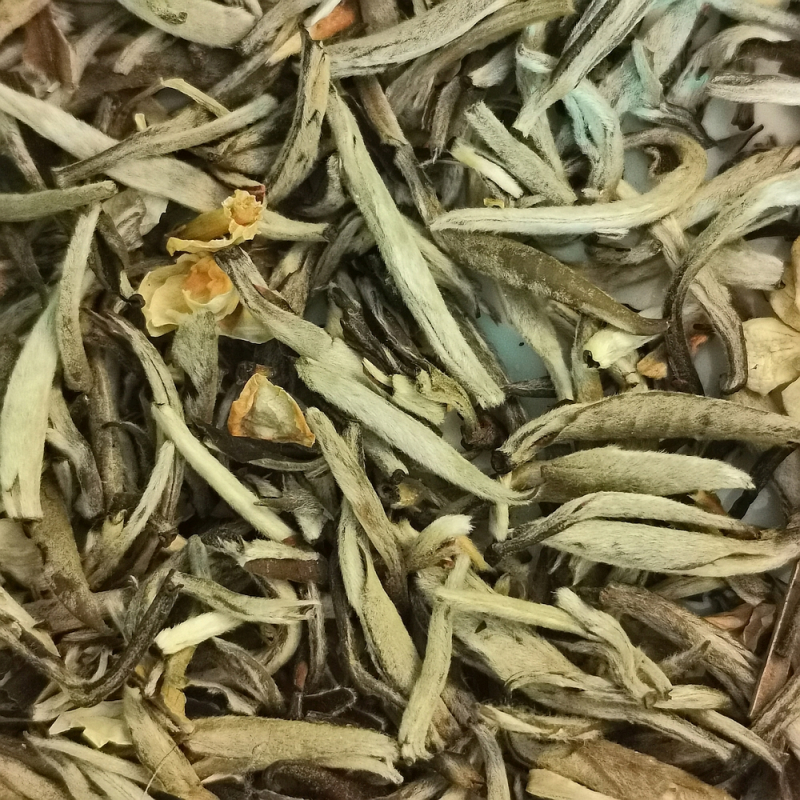 Aiguille d\'Argent au Jasmin