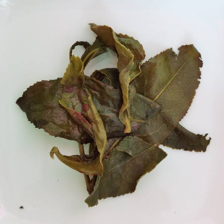 Sommet Froid / Tung Ting