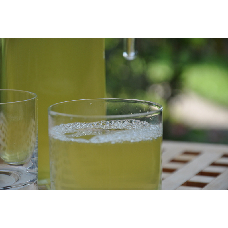 Le T Fine Ice Tea Farandole Thé froid vert Japonais (6 pcs pour 5 litres chacune)