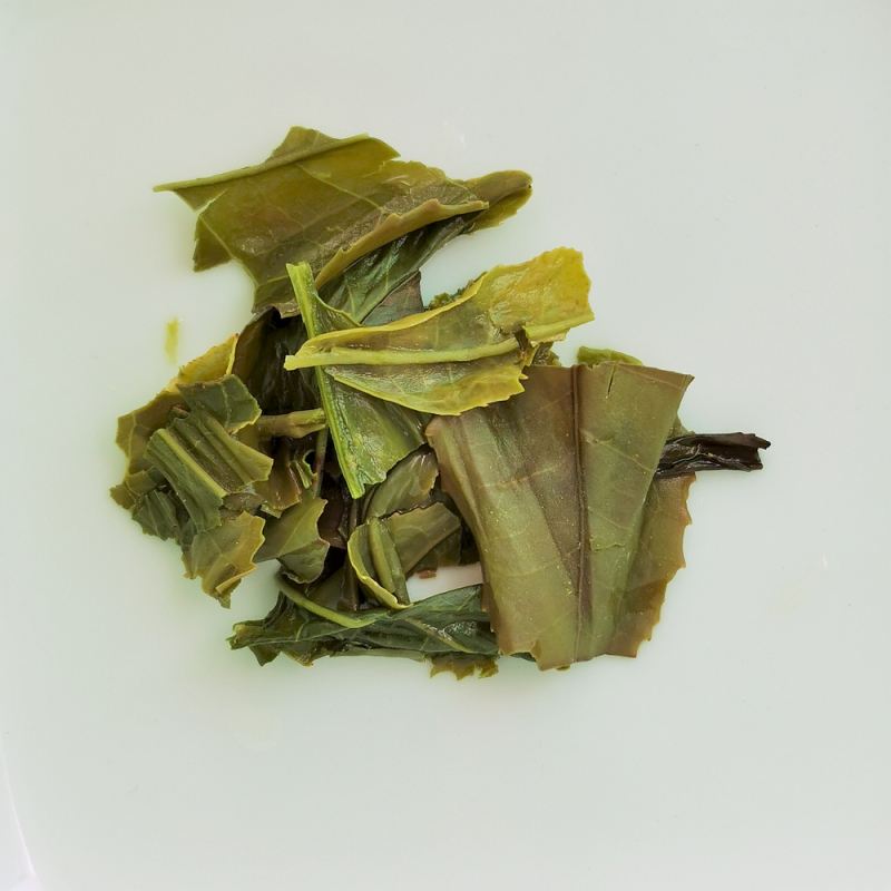 Gabamatch, Yabukita, Shizuoka, Japon