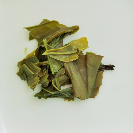 Gabamatch, Yabukita, Shizuoka, Japon