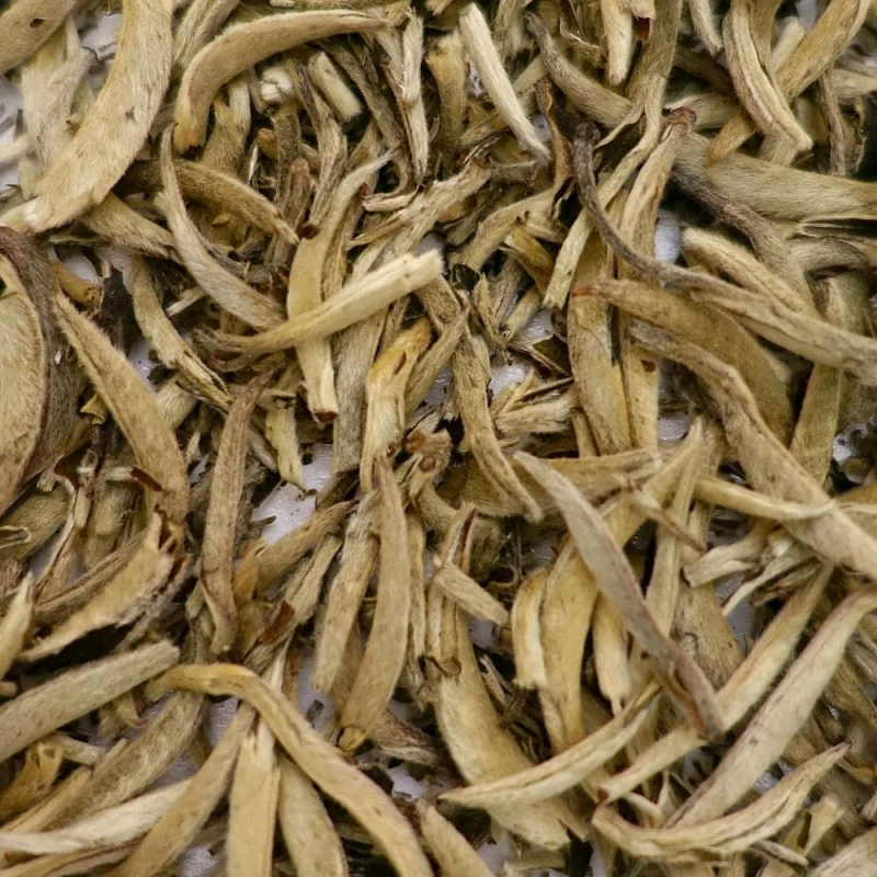 Aiguille d\'Argent  - Yin Zhen