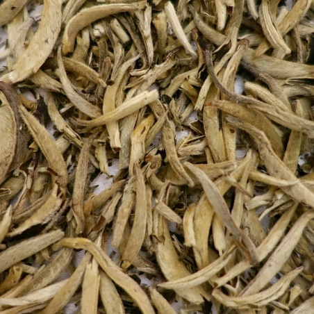 Aiguille d\'Argent  - Yin Zhen