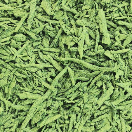 Gabamatch, Yabukita, Shizuoka, Japon