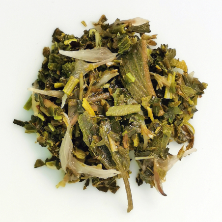 Mélange du Torrent - NATURE