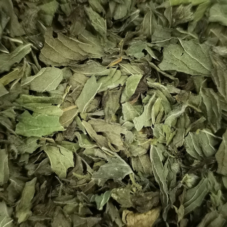 Menthe Poivrée BIO