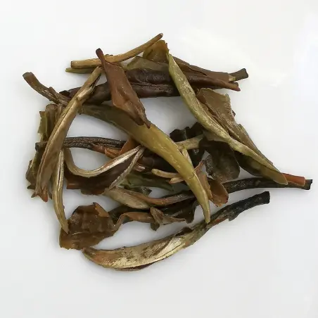 Moonlight Beauty NATURE