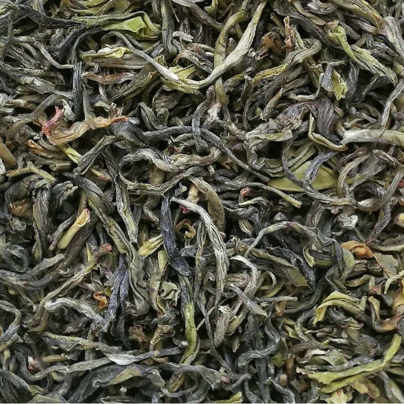 Spirale en Jade NATURE