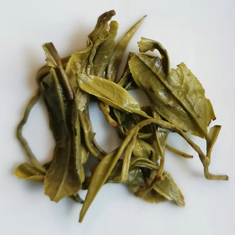 Spirale en Jade NATURE