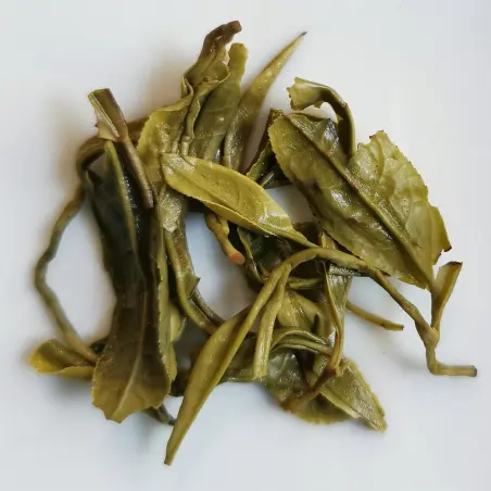 Spirale en Jade NATURE