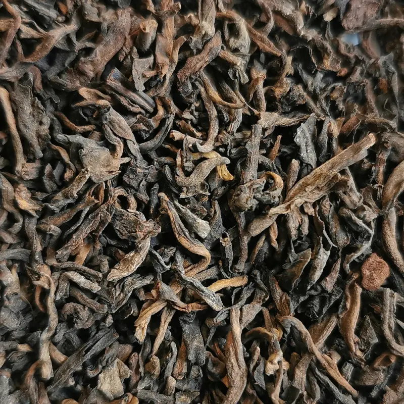 Après la Pluie NATURE - Shu