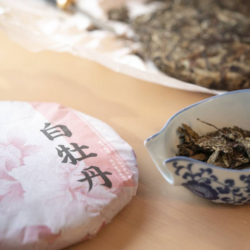 Aged White Tea Disc - 2021