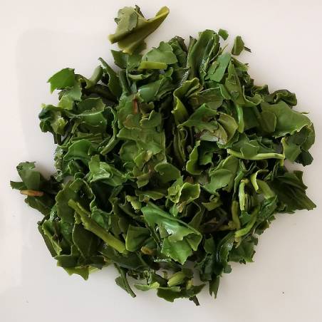 Kamairicha, Yabukita, Ureshino, Japan