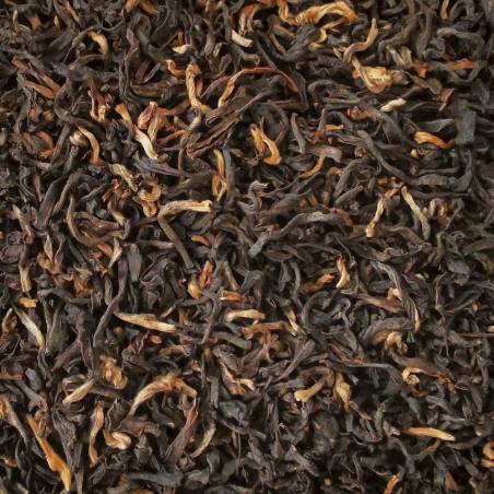 Langharjan GTFOP1 Assam