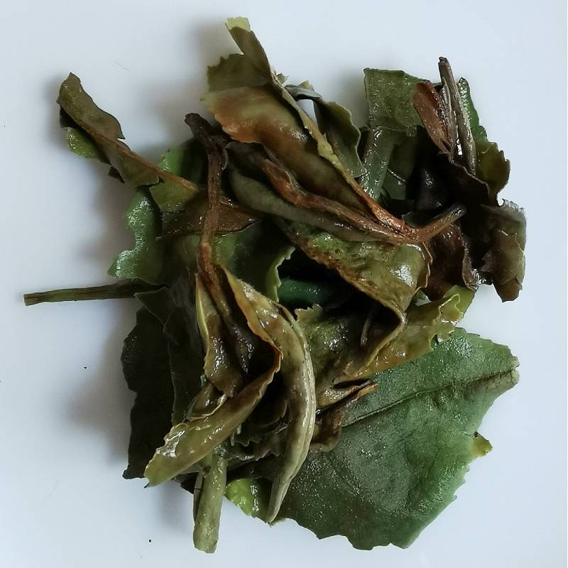 Pivoine Blanche BIO - Bai Mu Dan