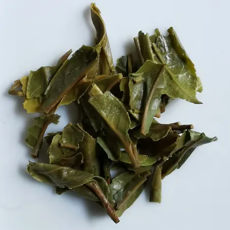 Lingia FTGFOP1 Darjeeling First Flush BIO 2025