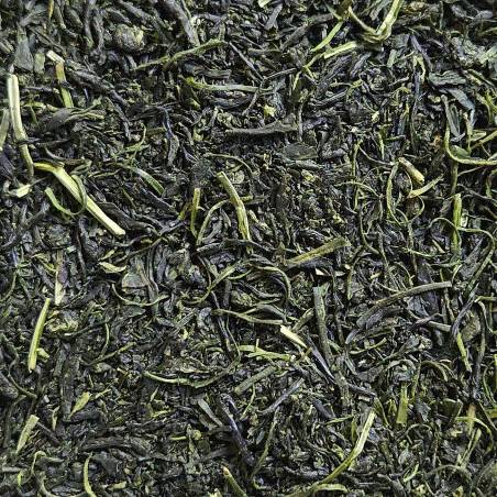 Tamaryokucha 2025, Yabukita, Ureshino, Japan