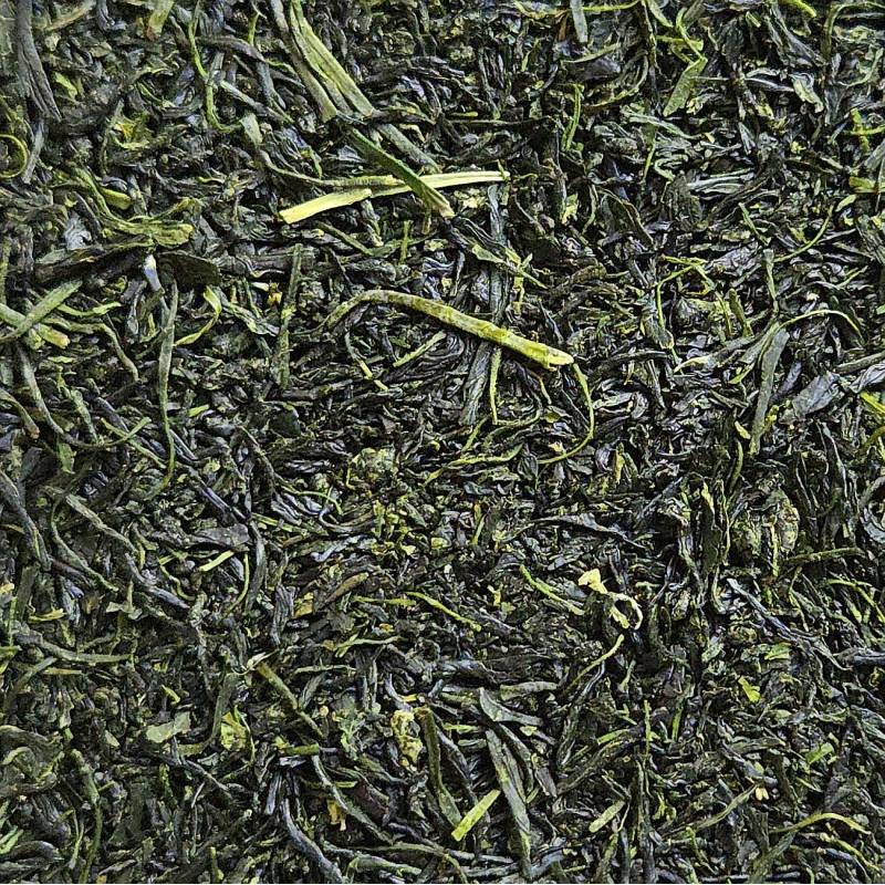 Gyokuro n°1 Finest 2025, Yabukita, Ureshino, Japon