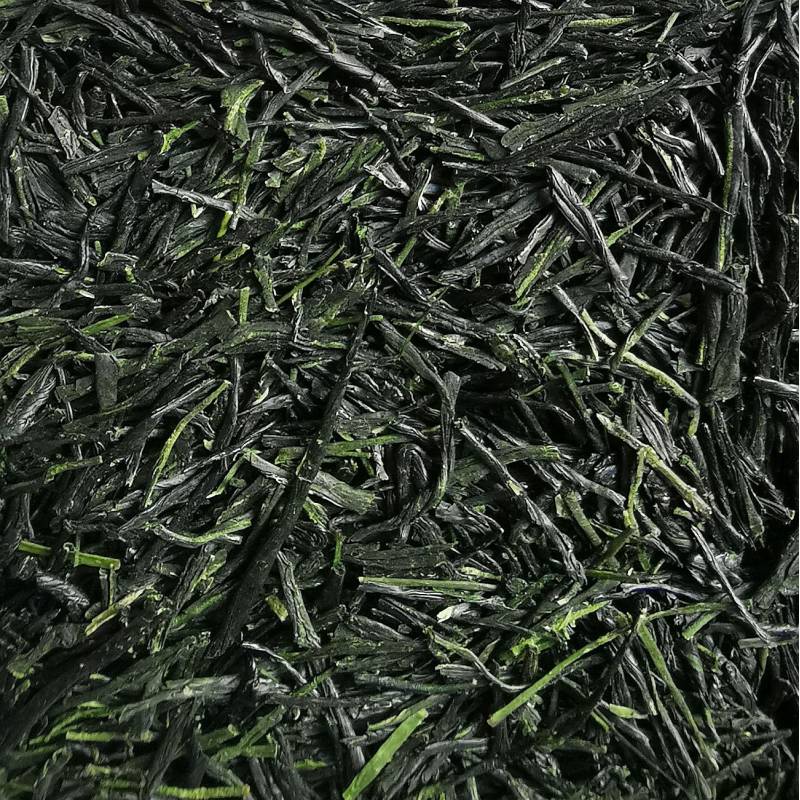 Gyokuro Maejima 2025, Okumidori, Shizuoka, Japon