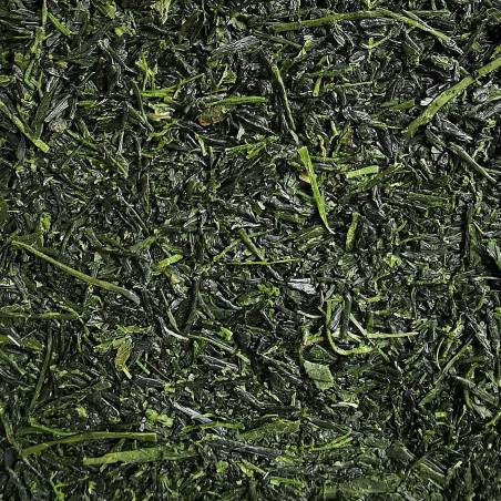 Kabuse Fukamushi BIO 2025, Yabukita, Kagoshima, Japon