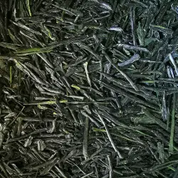 Sencha de Compétition, 2025, Yabukita, Kagoshima , Japan 2