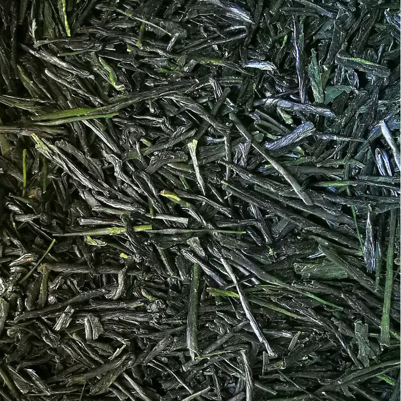 Sencha de Compétition, 2025, Yabukita, Kagoshima , Japan