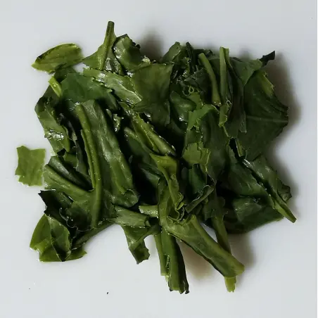 Sencha de Compétition, 2025, Yabukita, Kagoshima , Japan