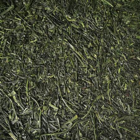 Sencha n°1 Fukamushi 2025, Saemidori, Kagoshima, Japon