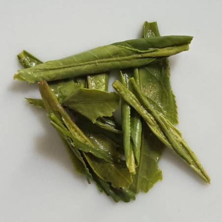 Monkey Garden - Tai Ping Hou Kui - 2025