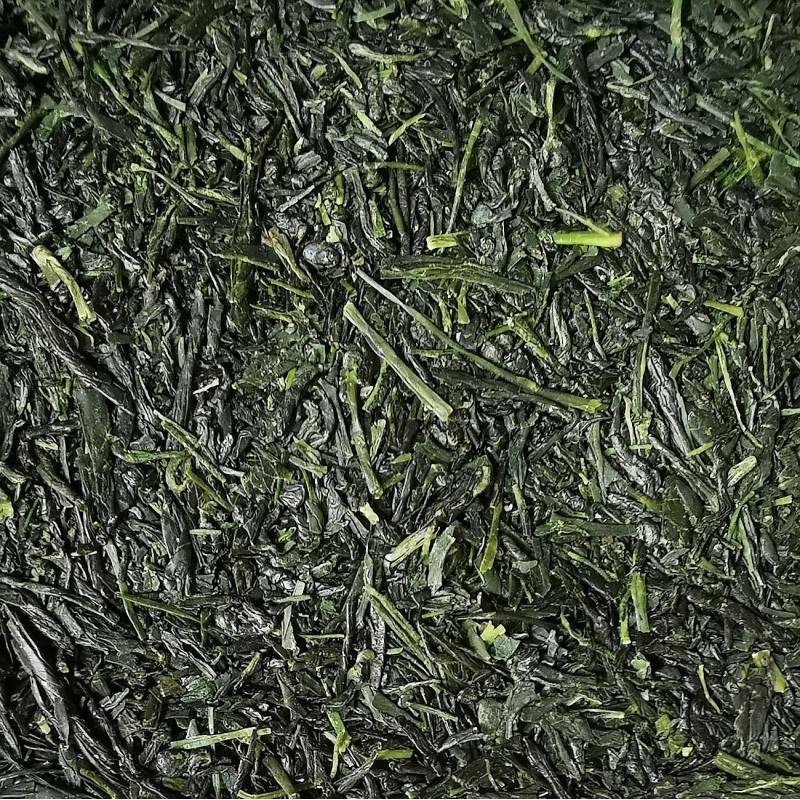 Sencha n°2 - BIO 2025, Saemidori, Myasaki, Japan