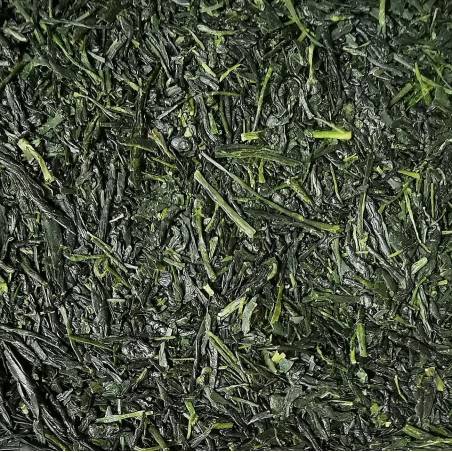 Sencha n°2 - BIO 2025, Saemidori, Myasaki, Japan