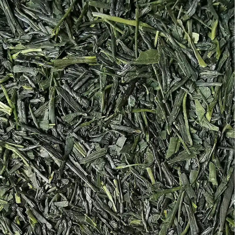 Sencha n°3 - BIO 2025, Yabutika & Saemidori, Kagoshima , Japan