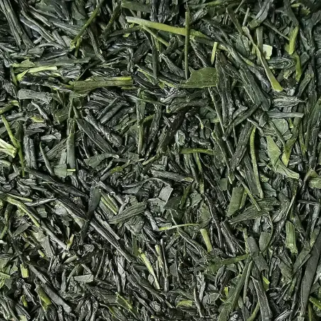 Sencha n°3 - BIO 2025, Yabutika & Saemidori, Kagoshima , Japan