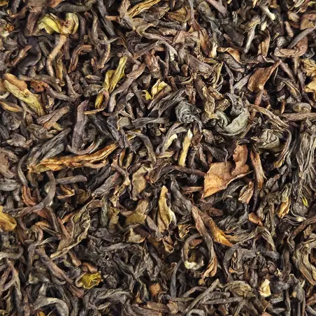 Teesta Valley FTGFOP1 Darjeeling Second Flush 2025
