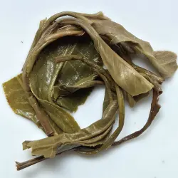 Discus of the Yi Wu Mountain 2