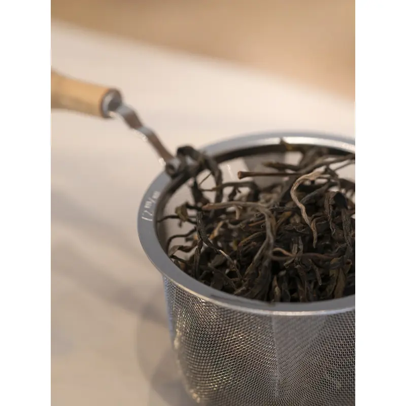 Discus of the Yi Wu Mountain