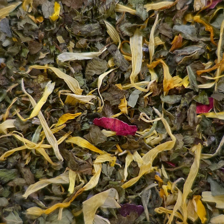 Claire Lune - NATURE