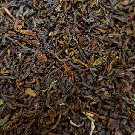 Darjeeling Blend le T no1
