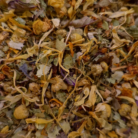 Pleine Forme - NATURE