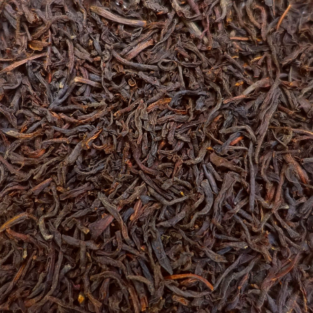 Kenilworth Mid-Grown OP Ceylan