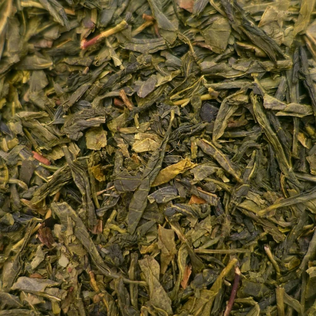 Mélodie du Désert - NATURE