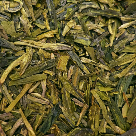 Puits du Dragon First Grade